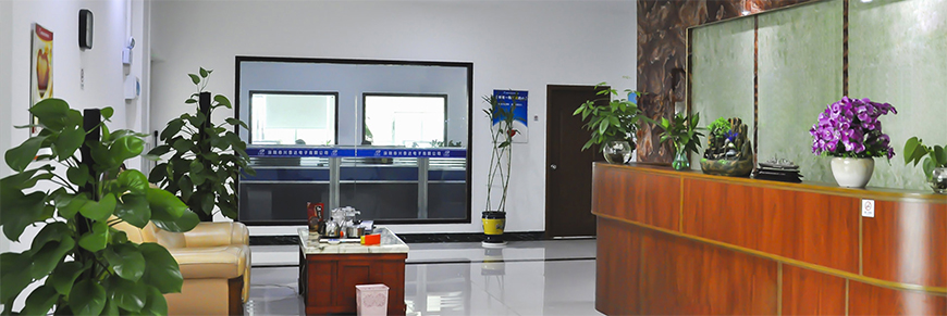 Company Profile